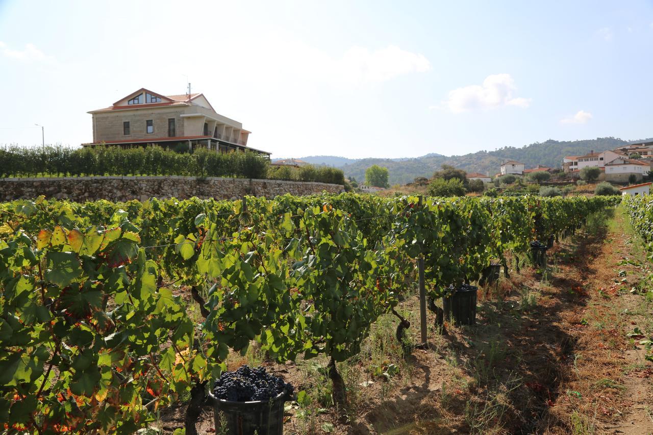 Villa Quinta Do Palame Vila Flor Esterno foto