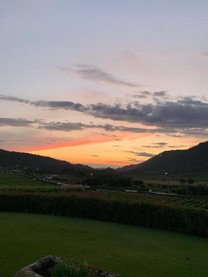 Villa Quinta Do Palame Vila Flor Esterno foto
